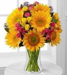 Golden Bouquet Sunflower Golden Bouquet Sunflower