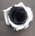Black and white 