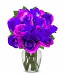 Purple tint Roses