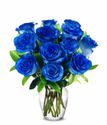 Florist Irving Blue Roses $99.00