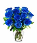 Florist Irving Blue Roses $99.00