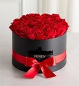 Red Rose