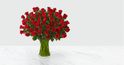 Long Stem Red Roses Long Stem Red Roses