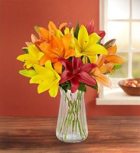 Lily Flower