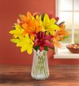 Lily Flower