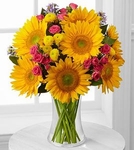 Flowers-Sunflower