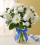 Flowers Magical Moonlight Flowers Magical Moonlight