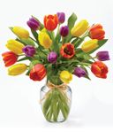 Flowers® Timeless Tulips Flowers® Timeless Tulips