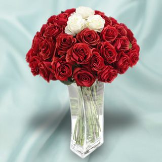 Forever in Love Valentine day rose