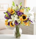 French Countryside French Countryside