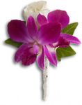 Fresh in Fuchsia Boutonniere Fresh in Fuchsia Boutonniere