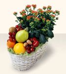 Fruits and Flowers