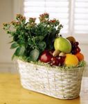 Fruits & Flowers  Fruits & Flowers