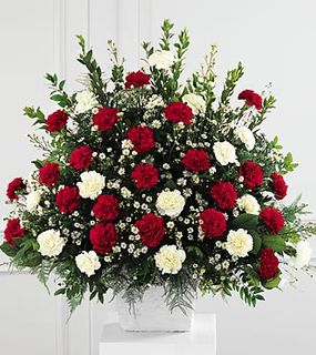  Devotion Arrangement