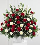 Devotion Arrangement Devotion Arrangement