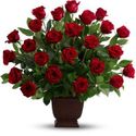 Rose Tribute Flowers Rose Tribute Flowers