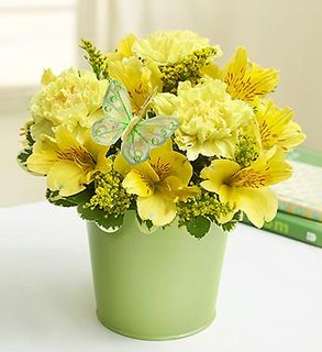Garden Bouquet 