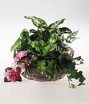 Garden planter for a baby girl Garden planter for a baby girl
