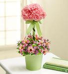 Garden Topiary Pink Garden Topiary Pink