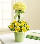 Garden Topiary- Yellow Garden Topiary- Yellow