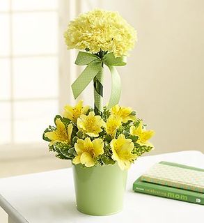 Garden Topiary- Yellow