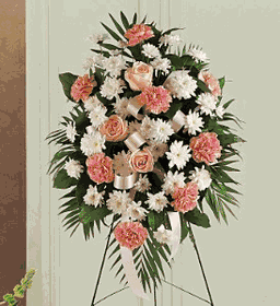 Gentle Thoughts Spray