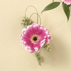 Gerbera Boutonniere 