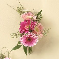 Gerbera Corsage 