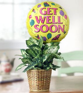 Get Well Green Plant with Balloon