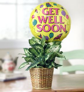 Get Well Green Plant with Balloon Just because
