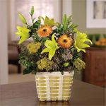 Getwell Basket Let the Sunshine In 