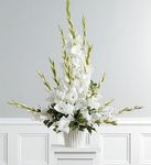 Gladiolus Basket for Sympathy 