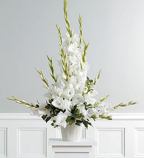 Gladiolus Basket for Sympathy 