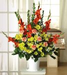 Gladiolus, Carnations and Alstroemeria