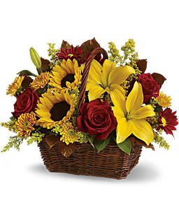 Goden day basket flower