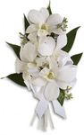 Graceful Orchids Corsage Graceful Orchids Corsage