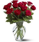 H.B.Day 12 Red Roses H.B.Day 12 Red Roses