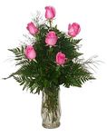 Half Dozen Pink Roses Arranged Half Dozen Pink Roses Arranged