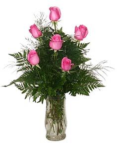 Half Dozen Pink Roses Arranged Just because