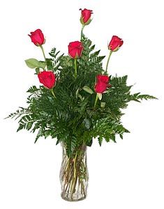 Half Dozen Red Roses Arranged 