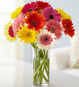 Happy Gerbera Daisy Bouquet