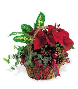 Holiday planter basket medium