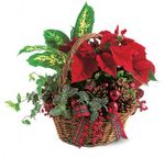 Holiday Planter Basket Holiday Planter Basket