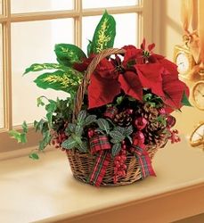 Holiday Planter Basket