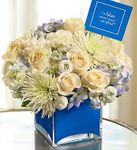 I'm Blue When I'm Not With You I'm Blue When I'm Not With You