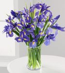 Iris Bouquet