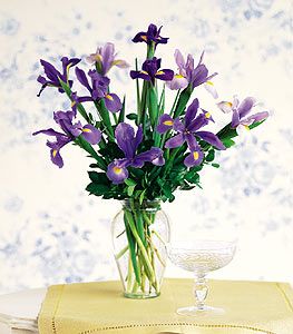 Iris Bouquet