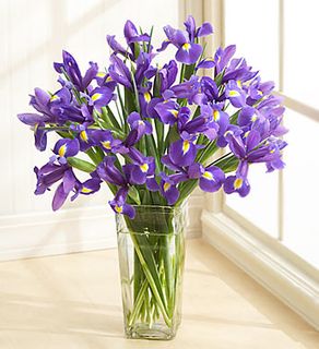 Iris Bouquet