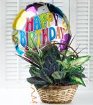 Irving Excite Florist 