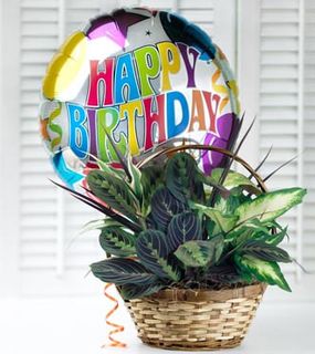 Irving Excite Florist Irving Excite Florist